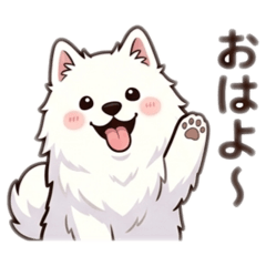 popola_20260403154155