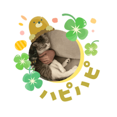 yusei_20260403155408