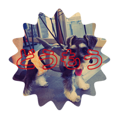 kochi_20260403183143