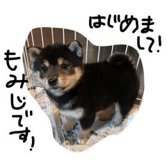 kahho_20260403183326