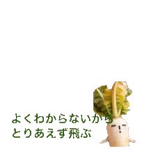 Nunmaru_20260403164649
