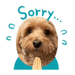 Nanami_20260403184552