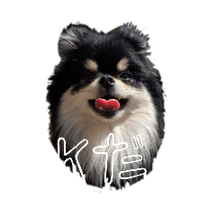 tanten_20260403185126