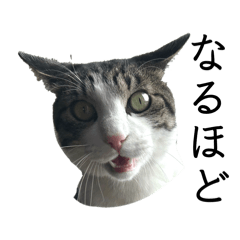 simeian_20260403185225