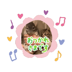 soranichi_20260403192131