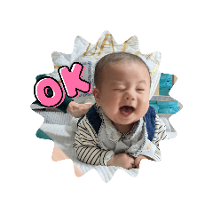 shiyabaco._20260403184954