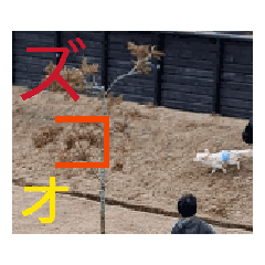 naomi_20260403231126