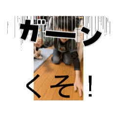 ichisou_20260404082722