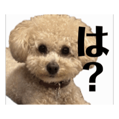 owatantan_20260404054825