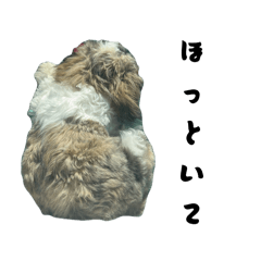 namumi_20260403174607