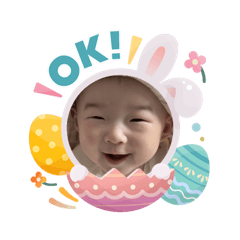 miffy_20260403174808