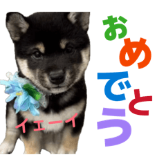 suimama_20260403162158