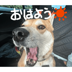 ojisan_20260403181202