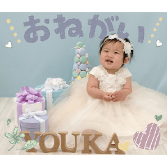 pickles_20260403181848