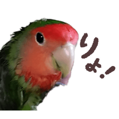 inkosuki_20260403182613