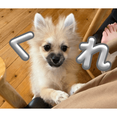 yoshie_20260403192731