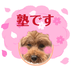 jukudesu_20260403193357