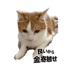 Ghost96_20260403200905