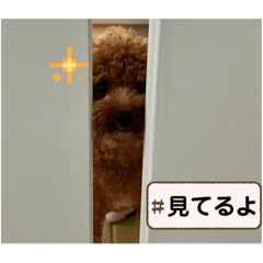 yuto262644