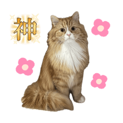 mitan._20260403202344