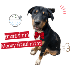 Miller_20260403130040