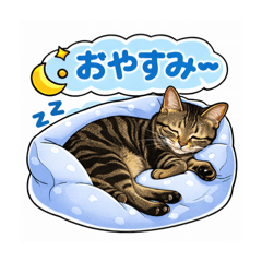 akira#28_20260403191203