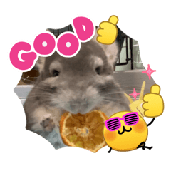 soranichi_20260403191814