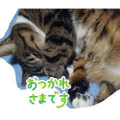 ebinake_20260403205147