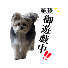 Kozuki_20260403210019