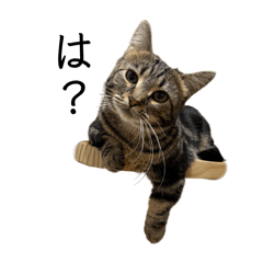 Emika_20260403194529