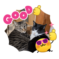 ymeee.m_20260403211212