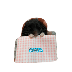 KeroroG_20260403211522