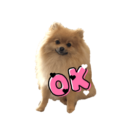 puchi daisuki_20260403211320