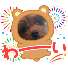 KeroroG_20260403212430