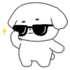 Daily Life Puppy