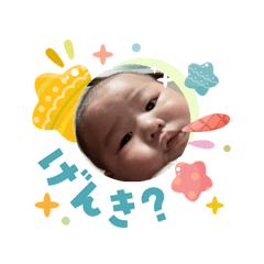 kinomi_20260403203009