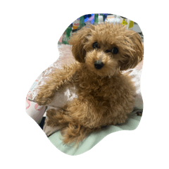 keito_20260403202731