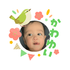 Kyoko_20260403203441