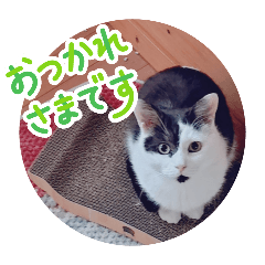 greensideMt_20260403203531