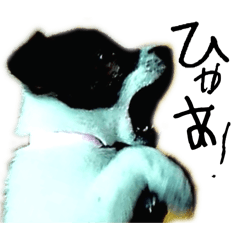 hana0515_20260403203714