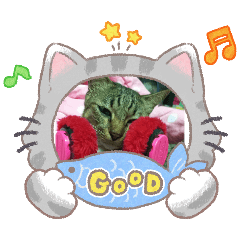 Organ@organ_20260403144318