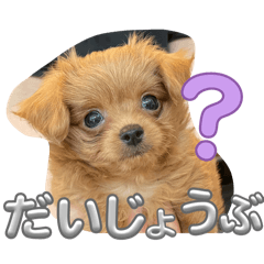 KeroroG_20260403203654