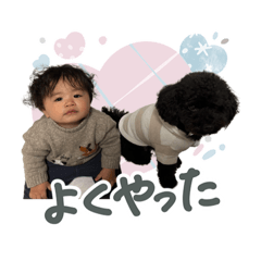 akipome_20260403203831