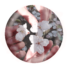 kurage_20260403203945