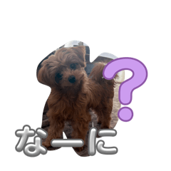 KeroroG_20260403205025