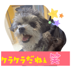 miiii_20260403220941