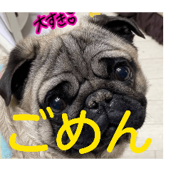 ibuki_20260403221109