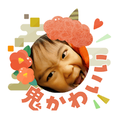 pujii_20260403221408