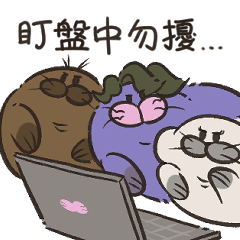 寶包豹貨幣貼紙