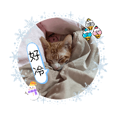 橘橘ㄉ冬眠日記